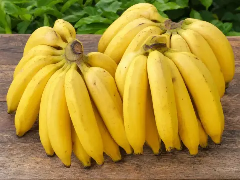 Banana-prata